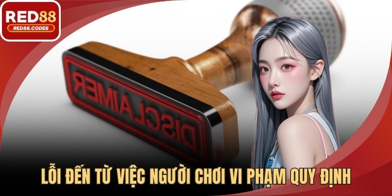 Lỗi đến từ việc người chơi vi phạm quy định