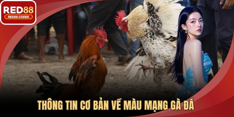 Thông tin cơ bản về màu mạng gà đá 