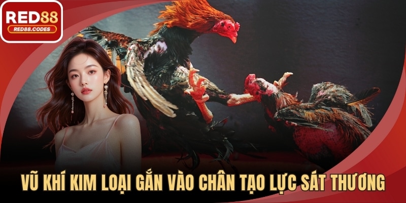Vũ khí kim loại gắn vào chân tạo lực sát thương mạnh